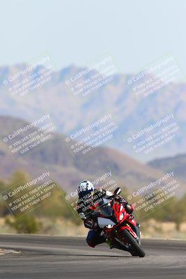 media/Mar-10-2024-SoCal Trackdays (Sun) [[6228d7c590]]/3-Turn 14 (1020am)/